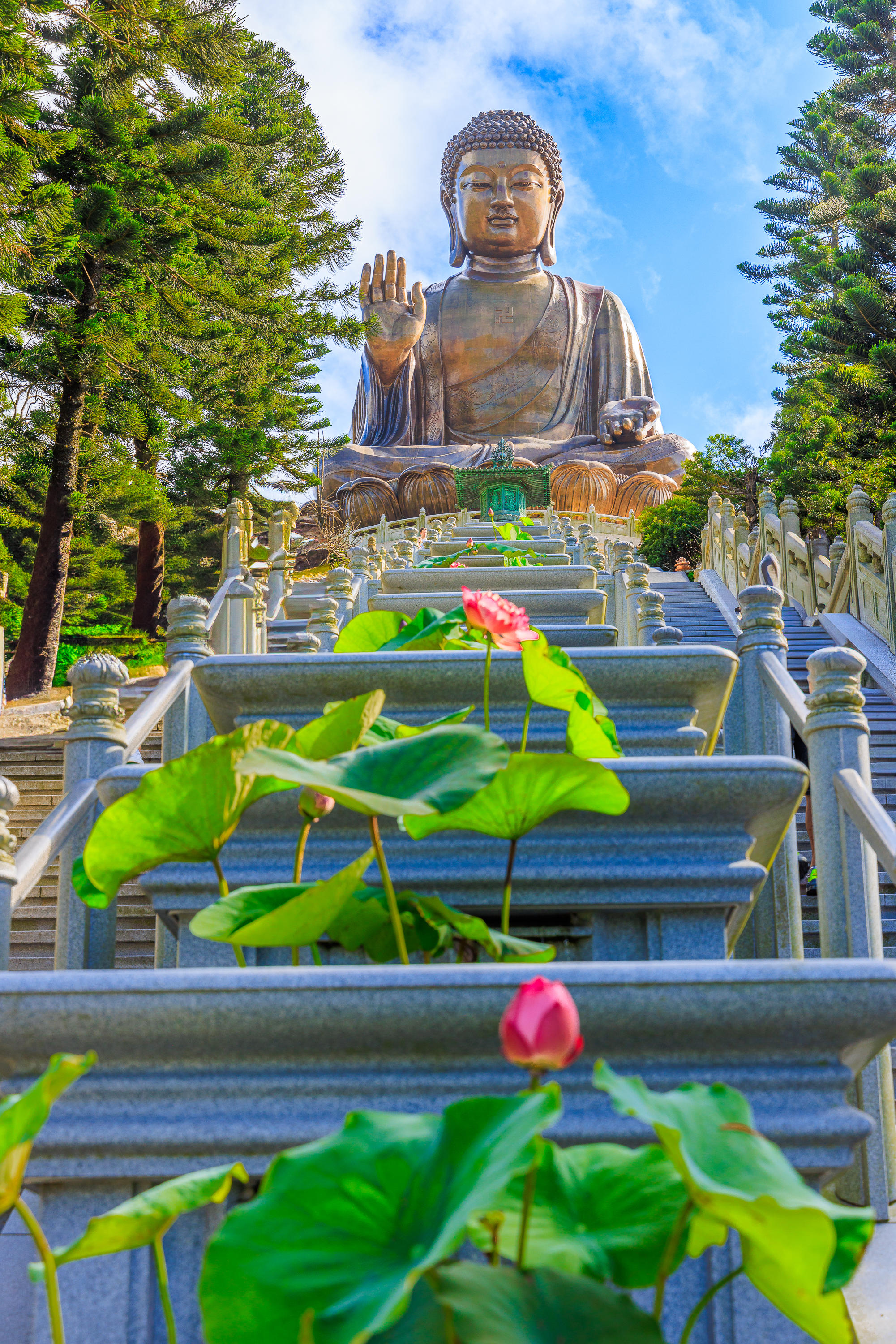 Lotus Buddha